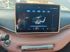 BYD Seagull Vitality Edition - ფოტო 12