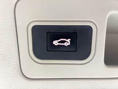 Buick GL8 Land Executive Cabin 652T Luxury - ფოტო 18