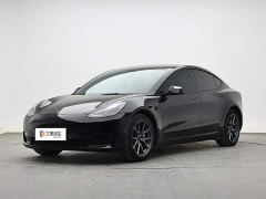 Tesla Model 3 Rear-Wheel Drive - ფოტო 1