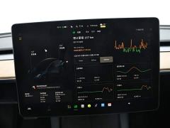 Tesla Model 3 Rear-Wheel Drive - ფოტო 11