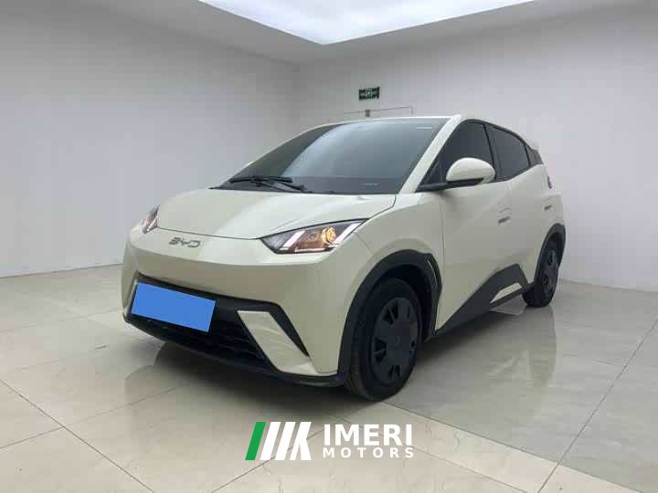 BYD Seagull 305km Vitality Edition - ავტომობილი ჩინეთიდან