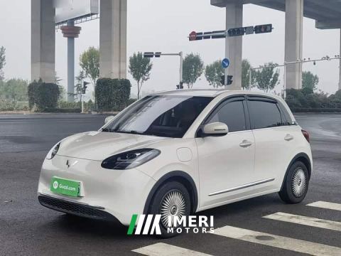 2025 Wuling Binguo 333km Joy Edition - car from China