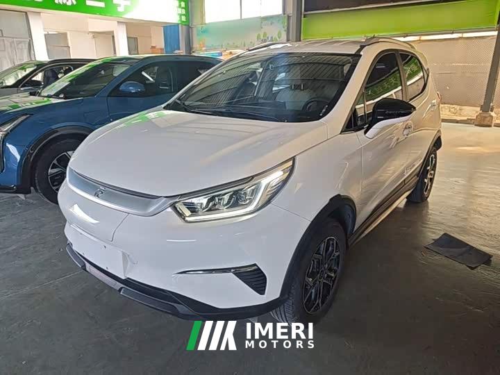 BYD Yuan Pro 401KM Luxury - car from China