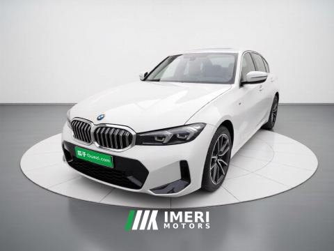 2023 BMW 3 Series 320Li M Sport Package - car from China