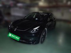 Tesla Model 3 556km Rear-Wheel Drive Edition - ფოტო 1