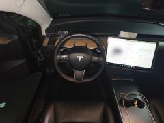 Tesla Model 3 556km Rear-Wheel Drive Edition - ფოტო 11