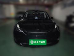 Tesla Model 3 556km Rear-Wheel Drive Edition - ფოტო 2