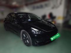 Tesla Model 3 556km Rear-Wheel Drive Edition - ფოტო 3