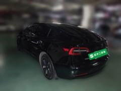 Tesla Model 3 556km Rear-Wheel Drive Edition - ფოტო 4