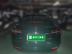 Tesla Model 3 556km Rear-Wheel Drive Edition - ფოტო 5