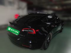 Tesla Model 3 556km Rear-Wheel Drive Edition - ფოტო 6