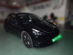 Tesla Model 3 Rear-Wheel Drive - ფოტო 3