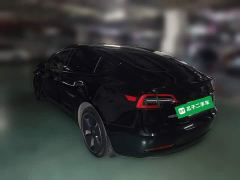 Tesla Model 3 Rear-Wheel Drive - ფოტო 4