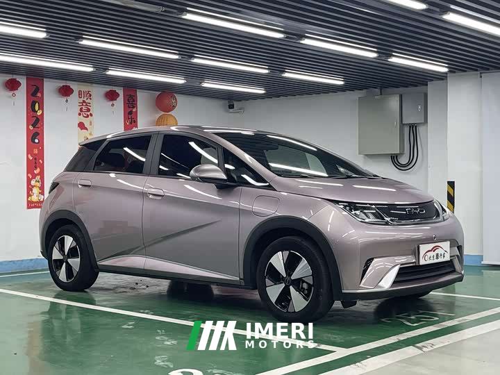 BYD Dolphin 420km Freedom Edition - car from China