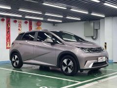 BYD Dolphin 420km Freedom Edition - photo 1