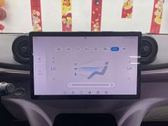 BYD Dolphin 420km Freedom Edition - photo 11