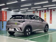 BYD Dolphin 420km Freedom Edition - photo 7
