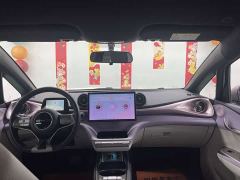 BYD Dolphin 420km Freedom Edition - photo 8