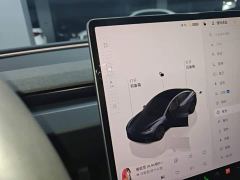Tesla Model 3 Rear-Wheel Drive - фото 13
