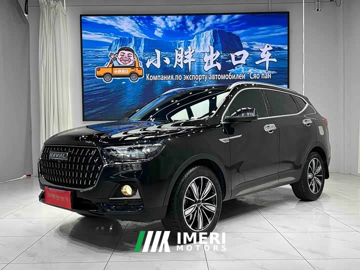 Haval H6 National Trend Edition 1.5T Automatic Champion Version - car from China
