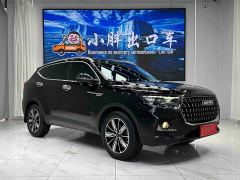 Haval H6 National Trend Edition 1.5T Automatic Champion Version - photo 3