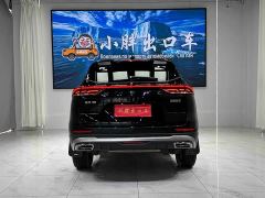 Haval H6 National Trend Edition 1.5T Automatic Champion Version - photo 5