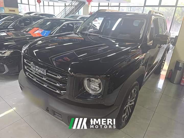 Great Wall Dachshund 1.5T DCT Two-Wheel Drive Border Collie Edition