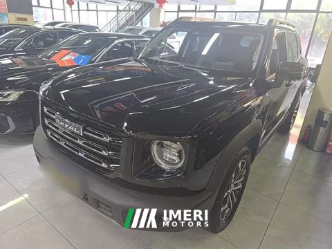 2023 Great Wall Dachshund 1.5T DCT Two-Wheel Drive Border Collie Edition