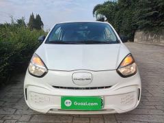 Roewe Clever 311km Vitality Pop Edition - photo 2