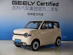 Geely Panda Mini 210km Vitality Edition - ფოტო 1