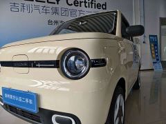 Geely Panda Mini 210km Vitality Edition - ფოტო 3