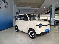 Geely Panda Mini 210km Vitality Edition - ფოტო 4
