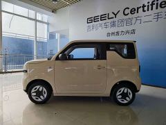 Geely Panda Mini 210km Vitality Edition - ფოტო 5