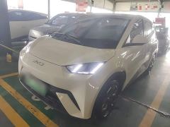 BYD Seagull Glory Edition 405km Flying Edition - ფოტო 1