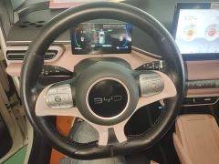 BYD Seagull Glory Edition 405km Flying Edition - ფოტო 10