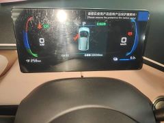 BYD Seagull Glory Edition 405km Flying Edition - ფოტო 11