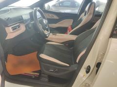 BYD Seagull Glory Edition 405km Flying Edition - ფოტო 14
