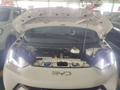 BYD Seagull Glory Edition 405km Flying Edition - ფოტო 19