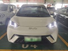 BYD Seagull Glory Edition 405km Flying Edition - ფოტო 2