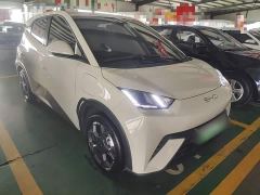 BYD Seagull Glory Edition 405km Flying Edition - ფოტო 3