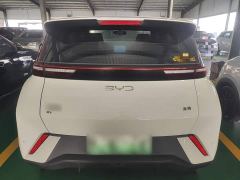 BYD Seagull Glory Edition 405km Flying Edition - ფოტო 5