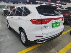 Haval M6 PLUS 1.5T DCT Elite Smart Connected Edition - ფოტო 4