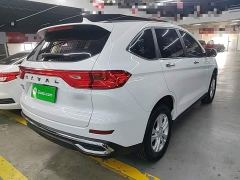Haval M6 PLUS 1.5T DCT Elite Smart Connected Edition - ფოტო 6
