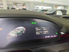 Zeekr 7X 100kWh Long Range RWD Smart Driving Edition - фото 11