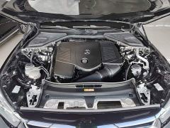 Mercedes-Benz E-Class Facelift E 300 L Luxury - photo 19