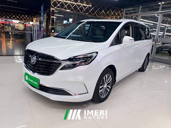Buick GL8 ES Luxe 653T Comfort