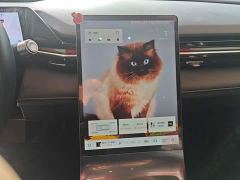 Geely Galaxy L6 125km PLUS Longteng Edition - фото 12
