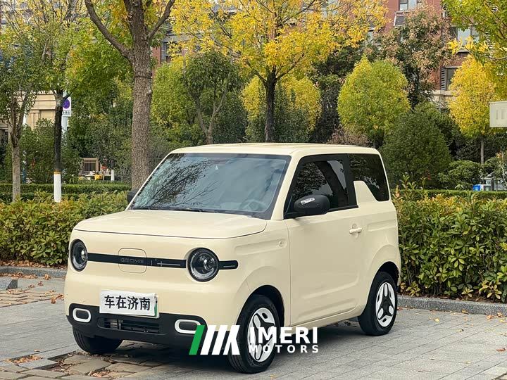 Geely Panda Mini 210km Vitality Edition - ავტომობილი ჩინეთიდან