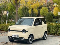 Geely Panda Mini 210km Vitality Edition - ფოტო 1