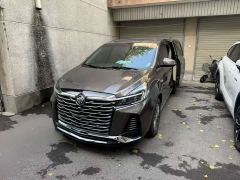 Buick GL8 Land Executive Cabin 652T Luxury - photo 1